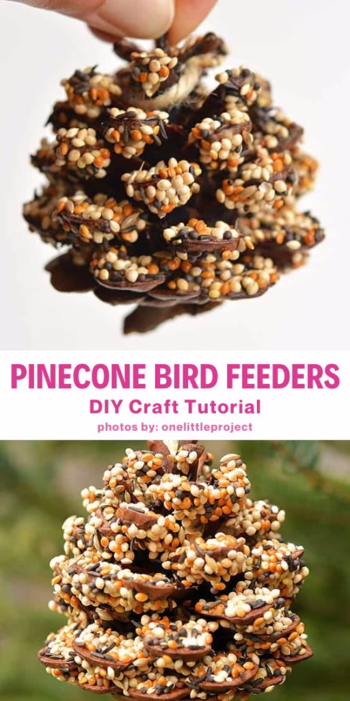 1. How to Make Pinecone Bird Feeders